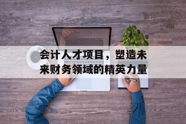 会计人才项目,塑造未来财务领域的精英力量 会计人才项目,塑造未来财务领域的精英力量
