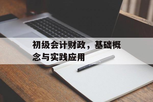 初级会计财政,基础概念与实践应用 初级会计财政,基础概念与实践应用