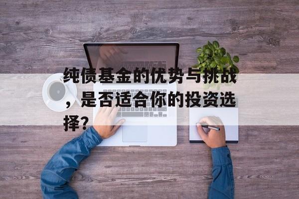 纯债基金的优势与挑战,是否适合你的投资选择? 纯债基金的优势与挑战,是否适合你的投资选择?