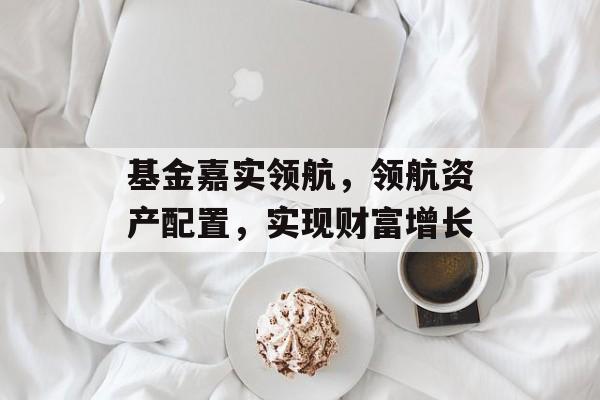 基金嘉实领航,领航资产配置,实现财富增长 基金嘉实领航,领航资产配置,实现财富增长