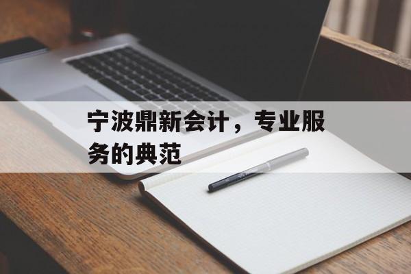 宁波鼎新会计，专业服务的典范