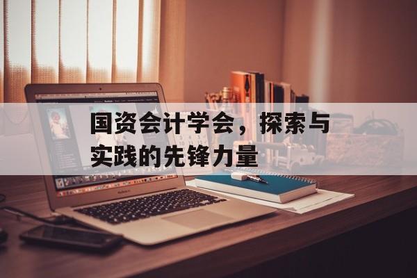 国资会计学会，探索与实践的先锋力量