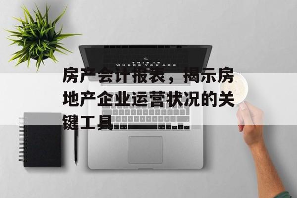 房产会计报表，揭示房地产企业运营状况的关键工具