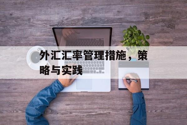 外汇汇率管理措施，策略与实践