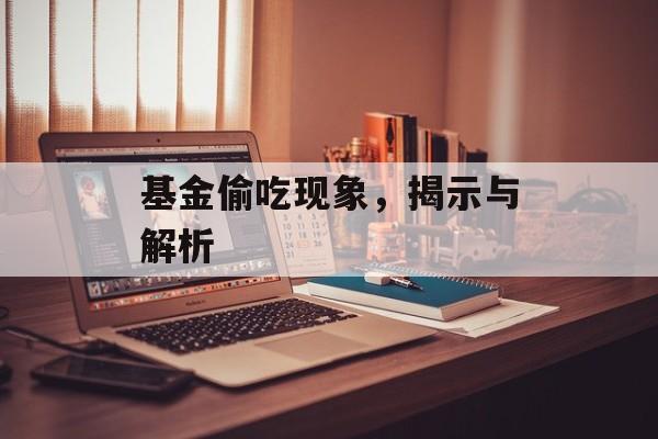 基金偷吃现象，揭示与解析