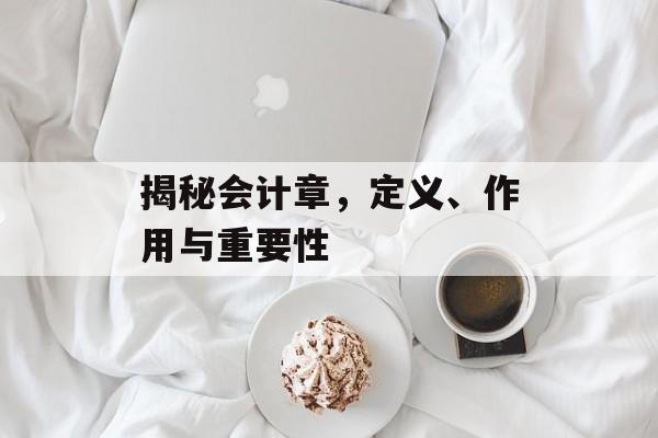 揭秘会计章,定义、作用与重要性 揭秘会计章,定义、作用与重要性
