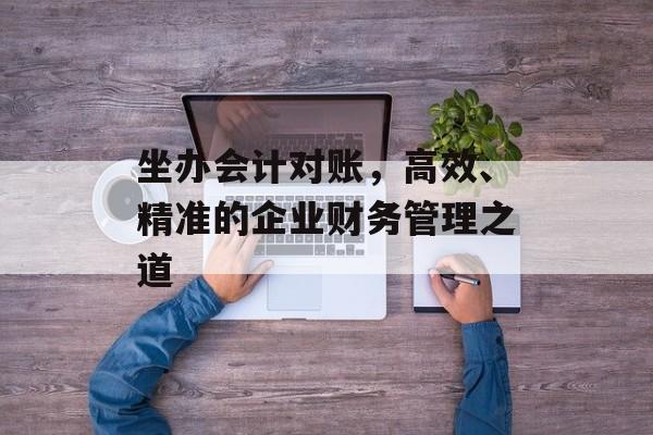 坐办会计对账，高效、精准的企业财务管理之道