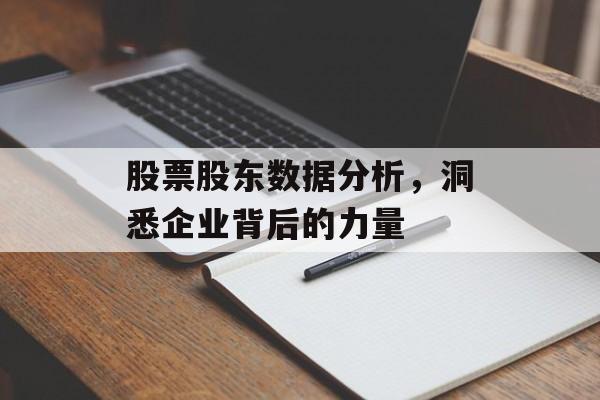 股票股东数据分析，洞悉企业背后的力量