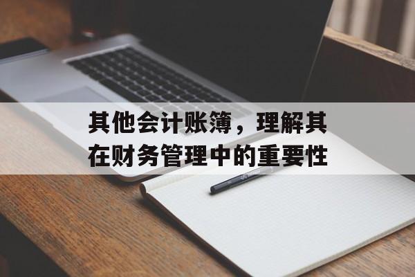 其他会计账簿,理解其在财务管理中的重要性 其他会计账簿,理解其在财务管理中的重要性