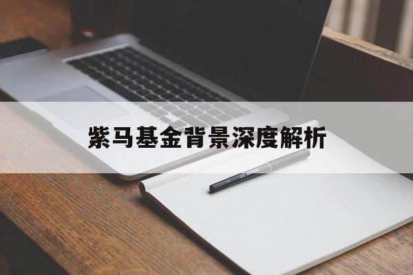 紫马基金背景深度解析