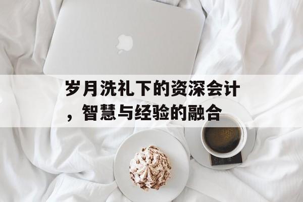 岁月洗礼下的资深会计,智慧与经验的融合 岁月洗礼下的资深会计,智慧与经验的融合