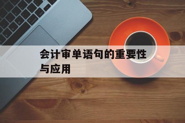 会计审单语句的重要性与应用