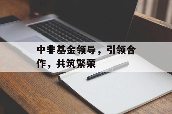 中非基金领导,引领合作,共筑繁荣 中非基金领导,引领合作,共筑繁荣