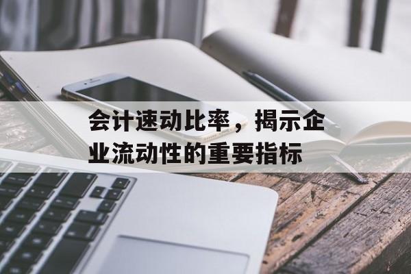 会计速动比率,揭示企业流动性的重要指标 会计速动比率,揭示企业流动性的重要指标