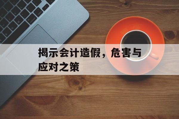 揭示会计造假，危害与应对之策
