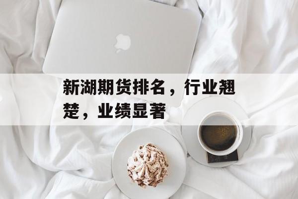 新湖期货排名,行业翘楚,业绩显著 新湖期货排名,行业翘楚,业绩显著