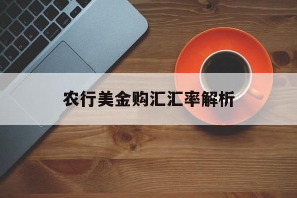 农行美金购汇汇率解析 农行美金购汇汇率解析