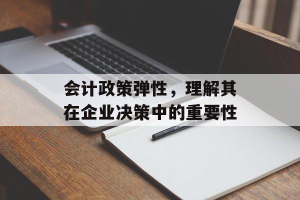 会计政策弹性，理解其在企业决策中的重要性